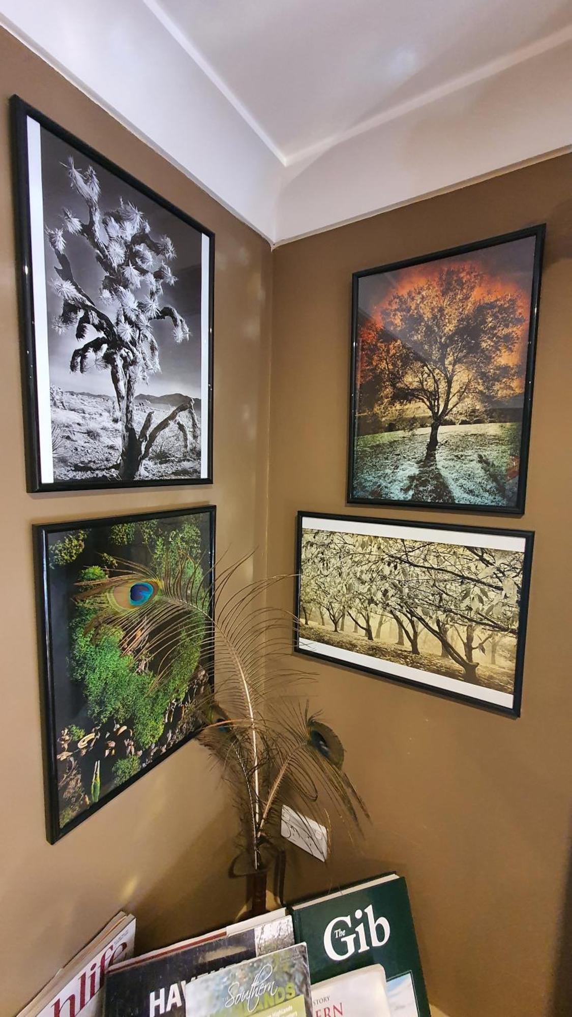 Bowral Road Art Gallery Bed And Breakfast Mittagong Exterior foto